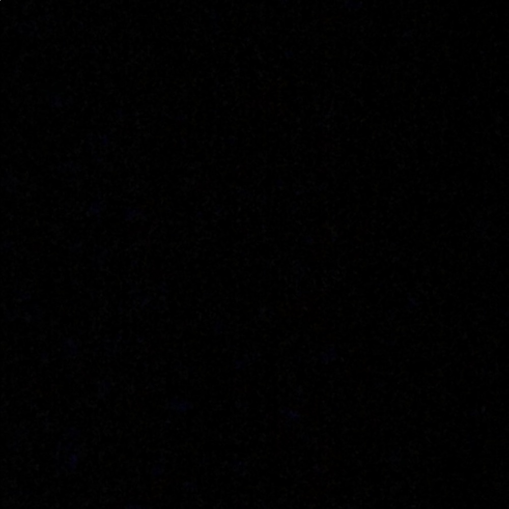 Meet your Posher, Janieva